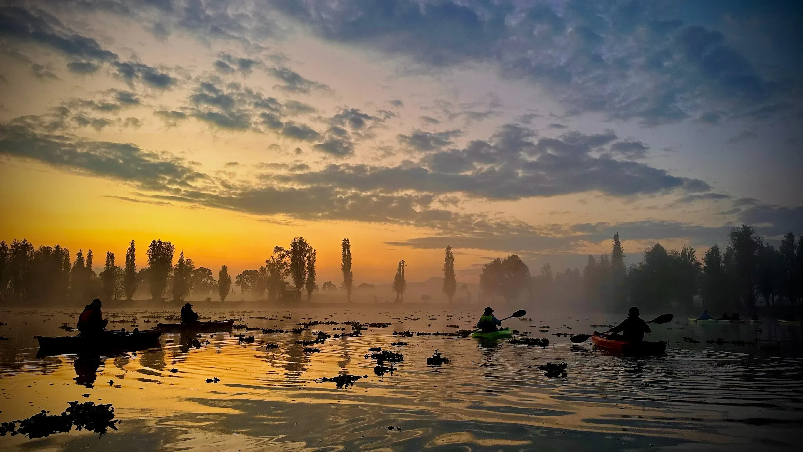 Trajinera al amanecer